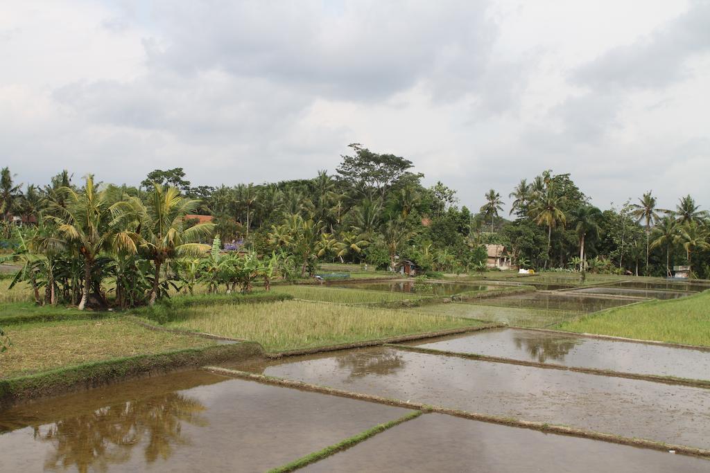 Villa Kami Ubud المظهر الخارجي الصورة