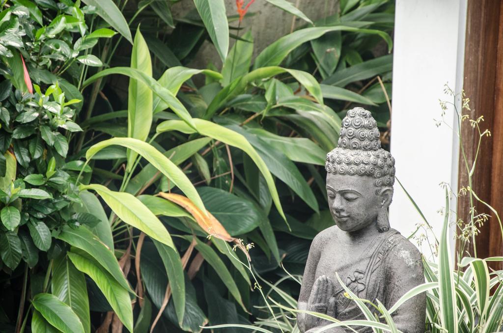 Villa Kami Ubud المظهر الخارجي الصورة