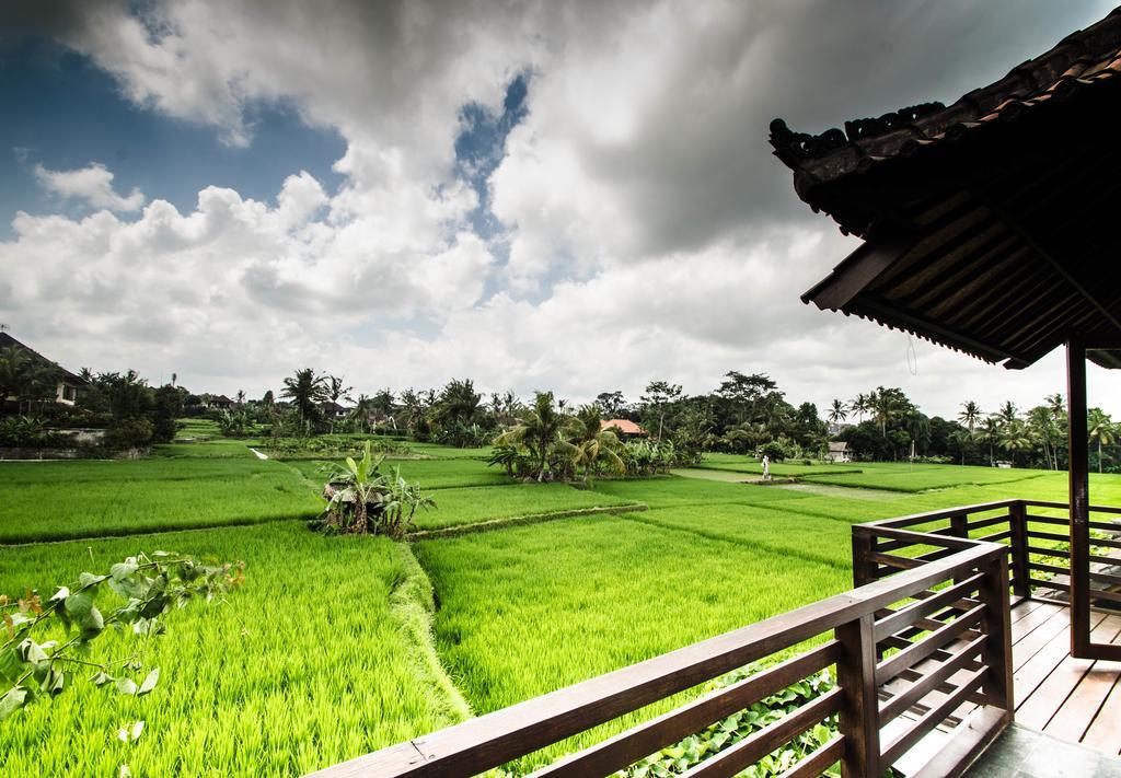 Villa Kami Ubud المظهر الخارجي الصورة